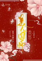 美人国师撞入怀