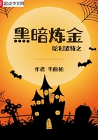 哈利波特之黑暗炼金士
