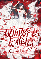 双面娇妻电视剧全集
