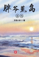 胖爷荒岛求生游戏