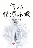 何以情深小说全文在线阅读