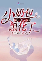 小奶包踹了总裁后黑化了