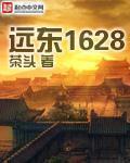 远东1628小说介绍