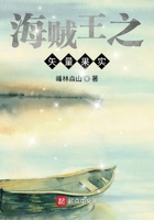 海贼王之矢量果实免费观看