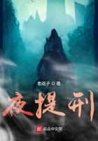 夜提刑小说