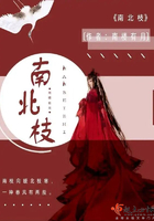 南北通透户型
