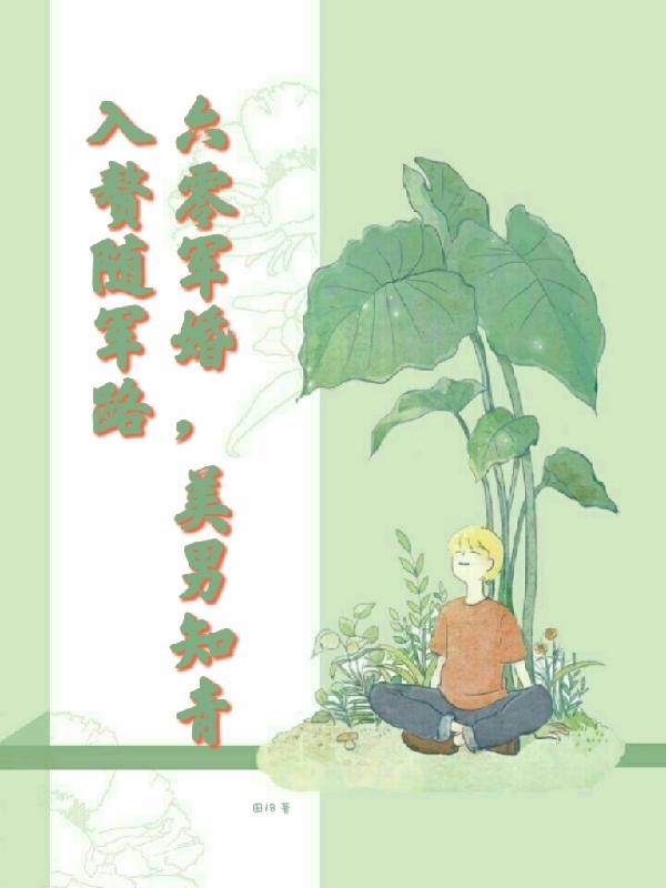 魂穿六零动画后续剧情