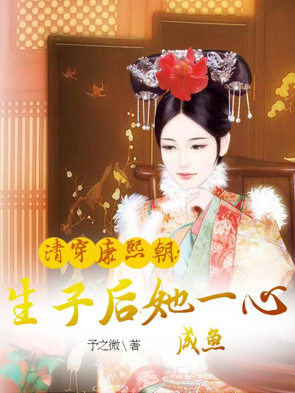 清穿生子文多胎独宠男主是康熙的小说