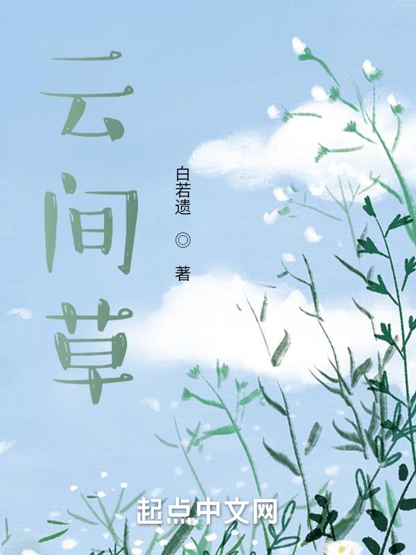 云间花境花海