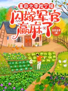 重回六零抢个婚闪嫁军官赢麻了全文