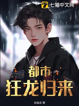 都市狂龙神兵小说