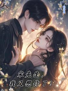 宋先生新歌