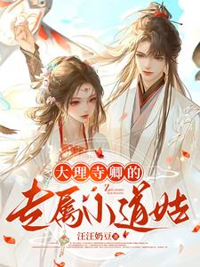 大理.寺卿小说