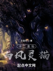 十二金仙与南极仙翁