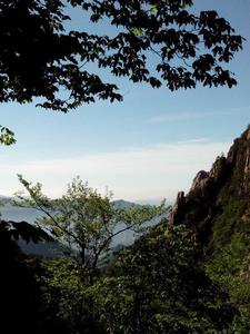 风雨沙坡头40集全播放