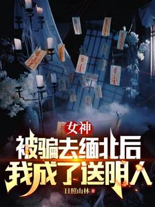 女神被骗缅甸