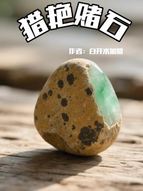 精彩赌石情节