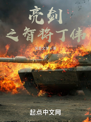 亮剑之智将丁伟 小说