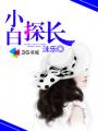 小白解说
