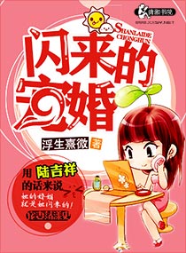 闪来的暖婚潇潇的结局