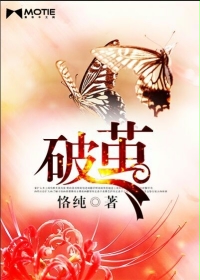 破茧边缘