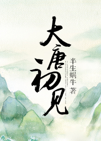 大唐春天暖气片厂家