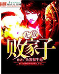 无敌败家子王康
