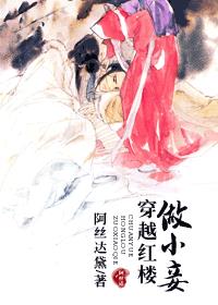 穿越红楼做妾的小说