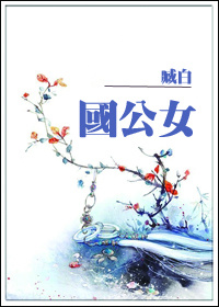 国公女讲的什么