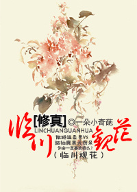 临川15天天气