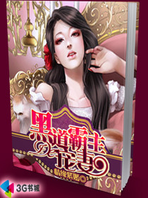 黑道宠妻全文免费