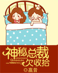 神秘总裁的地下情人小说
