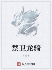 龙骑禁军走单骑