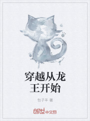 穿越从龙珠开始类似小说