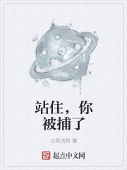 站住,你被捕了