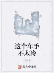 冷冷的精致生活