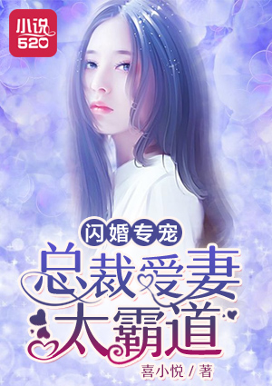 闪婚专宠:总裁爱妻太霸道小说讲的什么