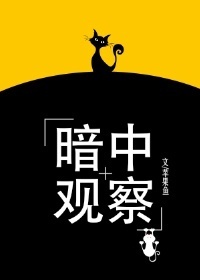 暗中观察又称式样记录或