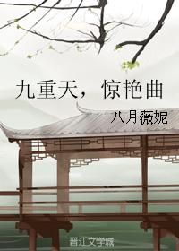 惊艳曲 小说好看吗
