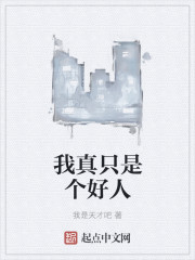 我真只是一个领主