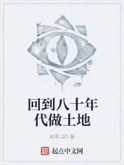 回到八十年代做土地