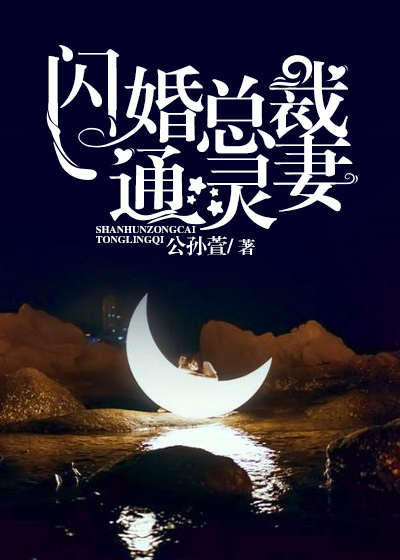 闪婚总裁高冷妻