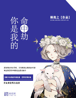 你是我的命中劫小说安凝