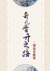 哥儿晋升之路小说全文书包网