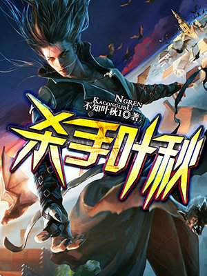 关于杀手的小说