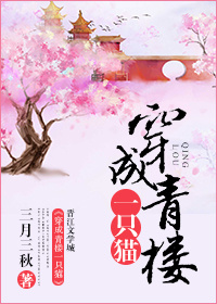 穿成一只猫小说古文