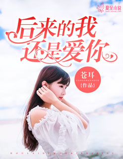 后来的我还是爱你 小说