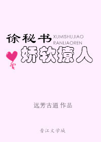 徐秘书剧集评价