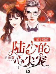 宠妻成瘾:陆少的心尖宠 佚名 在线看