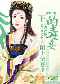 王的女人印度剧